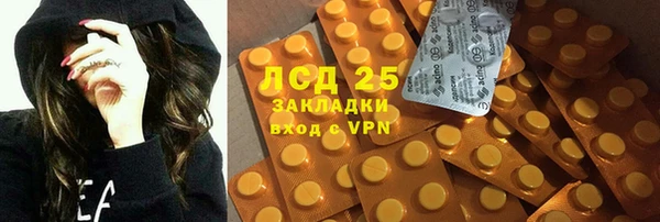 прущие грибы Иннополис
