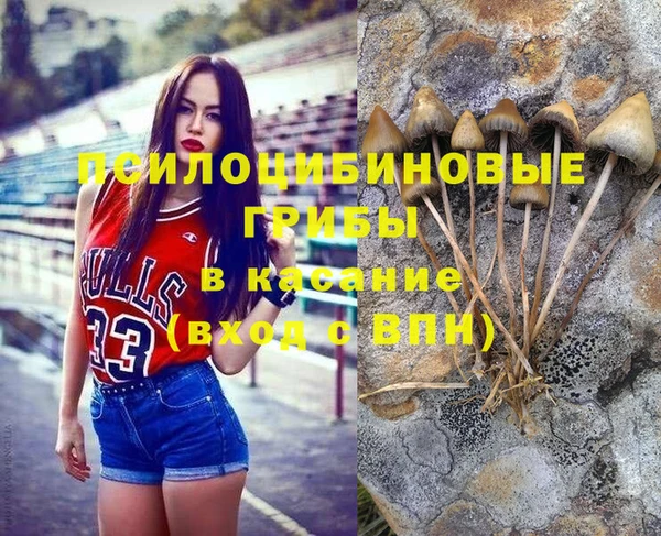 прущие грибы Иннополис