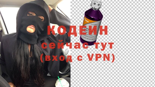 прущие грибы Иннополис