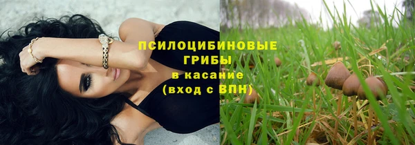 прущие грибы Иннополис