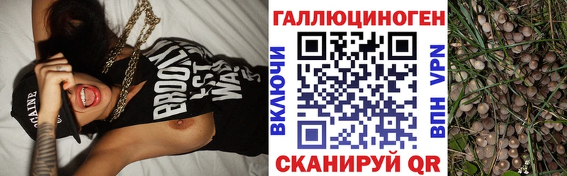 Псилоцибиновые грибы Psilocybine cubensis  площадка телеграм  Знаменск 