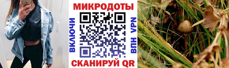 Галлюциногенные грибы ЛСД Знаменск