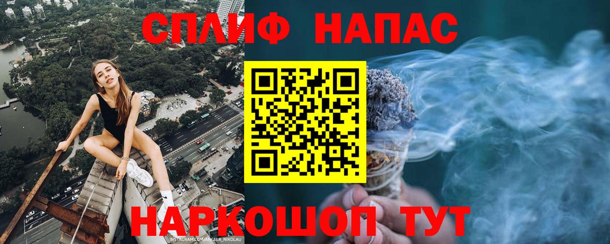 Канабис сатива Знаменск